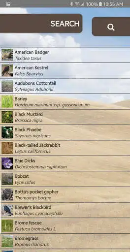 Play Vernal Pools Naturalist as an online game Vernal Pools Naturalist with UptoPlay