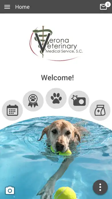 Play VeronaVet  and enjoy VeronaVet with UptoPlay