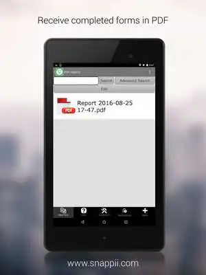 Play Vet and groom service