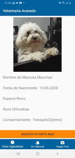 Play VetApp Acevedo as an online game online VetApp Acevedo with UptoPlay com.parisoft.mypetclinic Play VetApp Acevedo as an online game VetApp Acevedo with UptoPlay