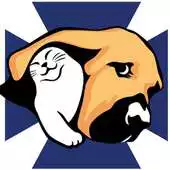 Free play online Veterinari Son Dureta APK