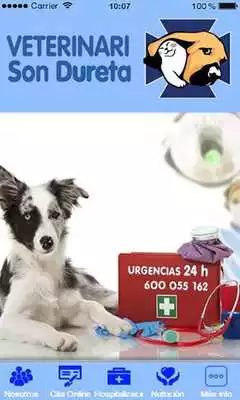 Play Veterinari Son Dureta