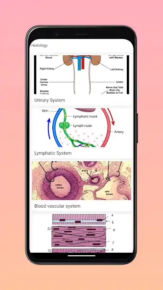 Play Veterinary Histology as an online game online Veterinary Histology with UptoPlay Play Veterinary Histology as an online game Veterinary Histology with UptoPlay