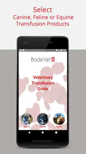 Play Veterinary Transfusion Guide  and enjoy Veterinary Transfusion Guide with UptoPlay