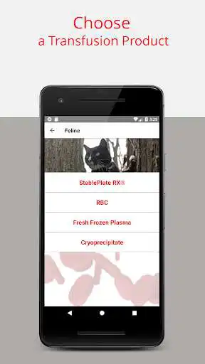 Play Veterinary Transfusion Guide as an online game Veterinary Transfusion Guide with UptoPlay