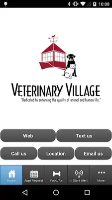Play Veterinary Village Play Veterinary Village