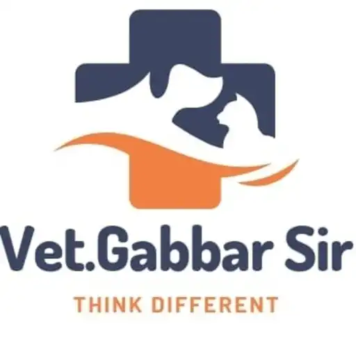 Play Vet. Gabbar Sir APK Play Vet. Gabbar Sir APK