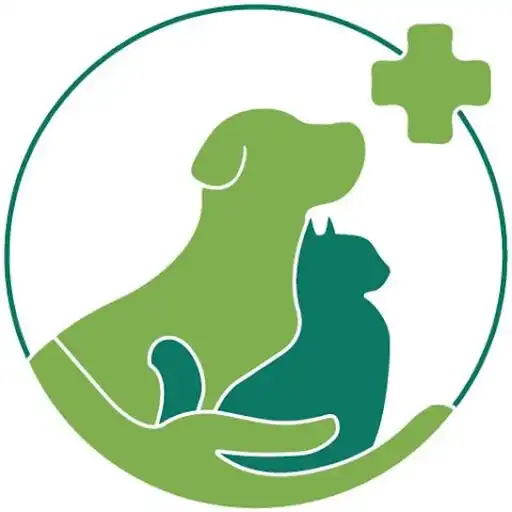 Play VetmemoDdx APK Play VetmemoDdx APK