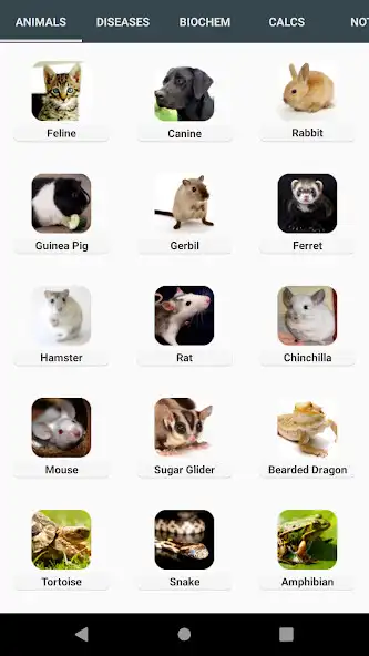 Play Vet Nurse Quick Reference  and enjoy Vet Nurse Quick Reference with UptoPlay