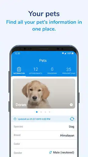 Play VetPawer  and enjoy VetPawer with UptoPlay