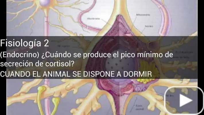 Play VetTrivial