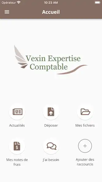 Play Vexin Expertise Comptable as an online game Vexin Expertise Comptable with UptoPlay