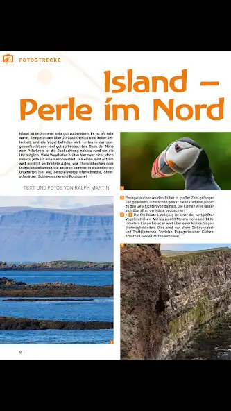 Play VÖGEL - Magazin für Vogelbeoba as an online game VÖGEL - Magazin für Vogelbeoba with UptoPlay