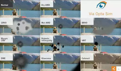 Play ViaOpta Simulator