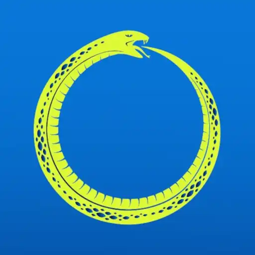 Play Vibora Padel Club APK