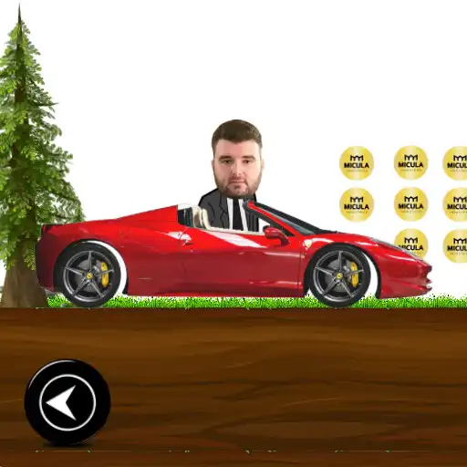 Play Victoras M  pierdut la Stana APK