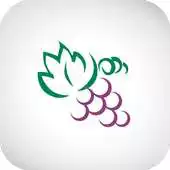 Free play online Videira APK