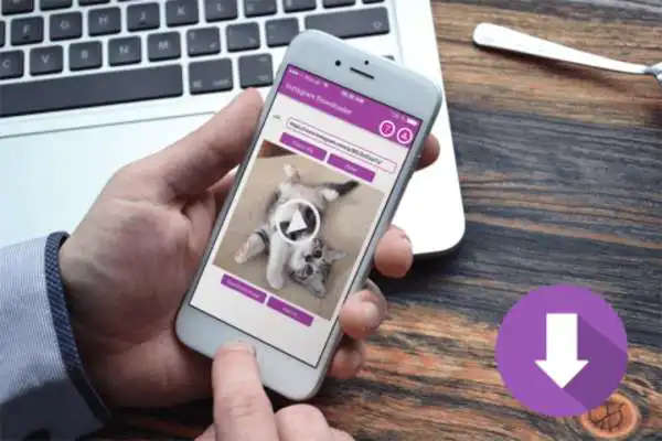 Play Video and Photo Downloader