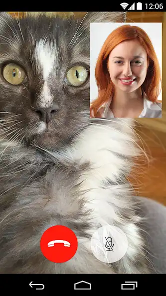 Play Video Chat for Facebook, Free