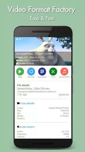 Play Video Format Factory