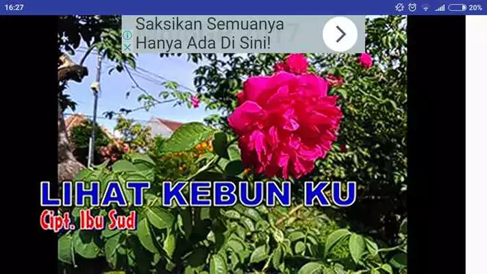 Play Video Lagu Anak Populer