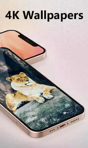 Play Video Live Wallpaper - HD Wall as an online game Video Live Wallpaper - HD Wall with UptoPlay