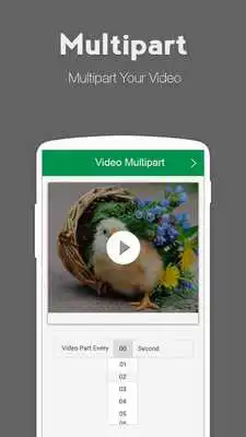 Play Video Multipart