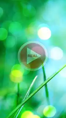 Play Video Player - Real Player HD