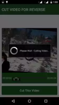 Play Video Reverse