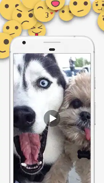 Play Videos Graciosos  and enjoy Videos Graciosos with UptoPlay