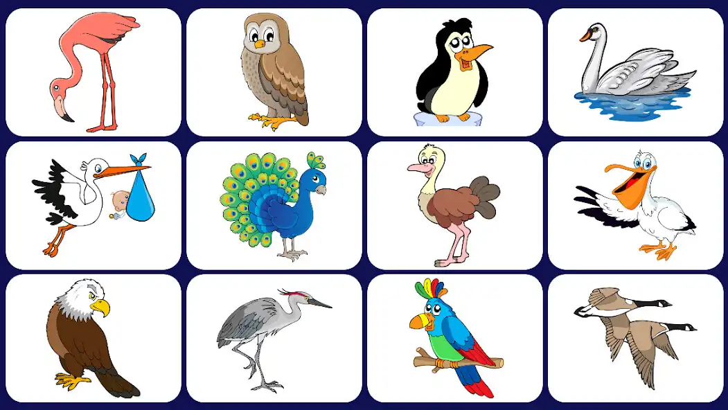 Play Video Touch - Birds  and enjoy Video Touch - Birds with UptoPlay