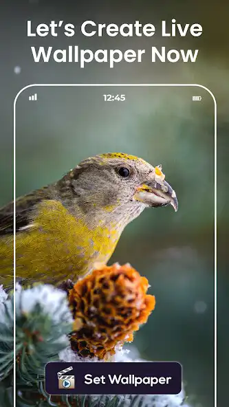 Play Video wallpaper live maker as an online game Video wallpaper live maker with UptoPlay