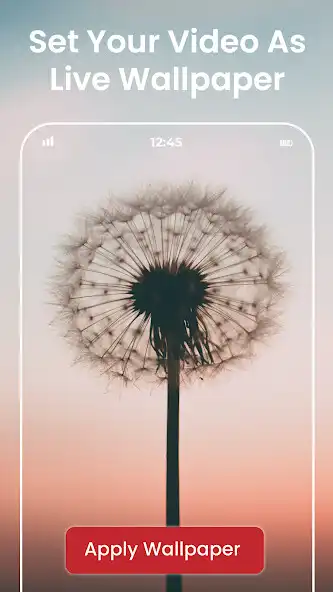 Play Video Wallpaper Maker HD  and enjoy Video Wallpaper Maker HD with UptoPlay