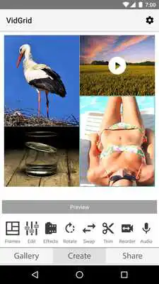 Play VidGrid