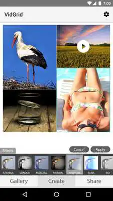 Play VidGrid