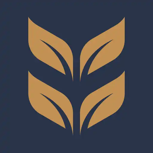 Play Vie de Vine APK Play Vie de Vine APK