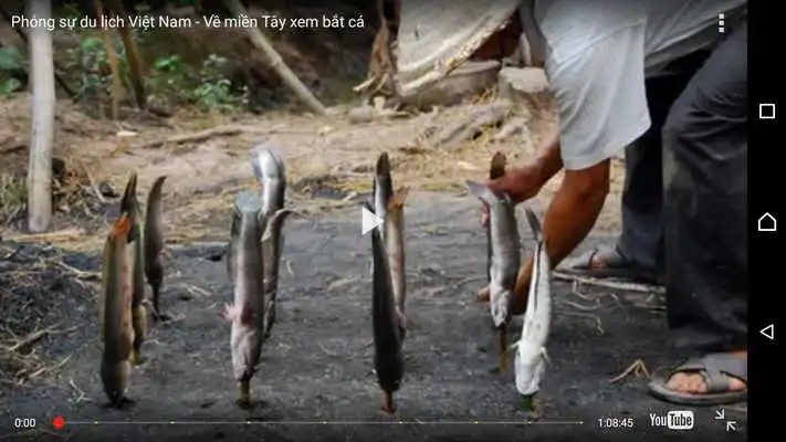 Play Vietnam Discovery