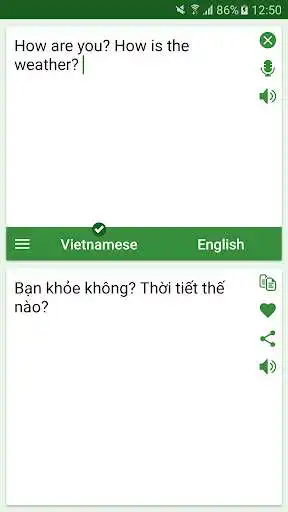 Play Vietnamese - English Translato