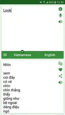 Play Vietnamese - English Translato