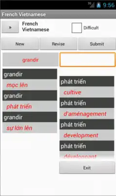 Play Vietnamese French Dictionary