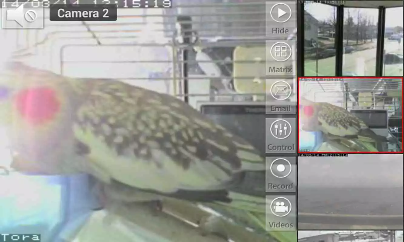 Play Viewer for Astak cameras