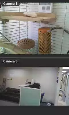Play Viewer for Panasonic ip cam