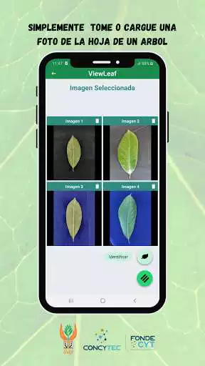 Play ViewLeaf as an online game ViewLeaf with UptoPlay