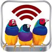 Free play online ViewSonic Wireless vPresenter APK Free play online ViewSonic Wireless vPresenter APK