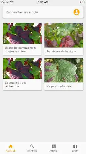 Play Vigie Bourgogne as an online game Vigie Bourgogne with UptoPlay