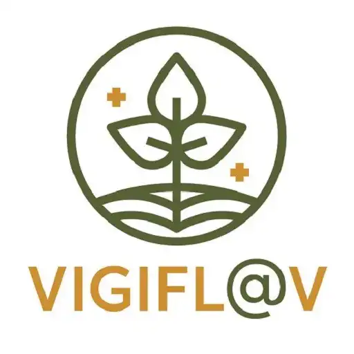 Play Vigifl@v APK