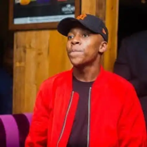 Play Vigro Deep Albums APK