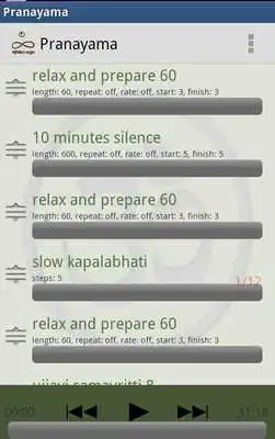 Play Vijnana Yoga Timer Play Vijnana Yoga Timer