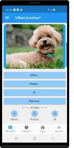 Play Vilken hundras? and enjoy Vilken hundras? with UptoPlay Play Vilken hundras? and enjoy Vilken hundras? with UptoPlay
