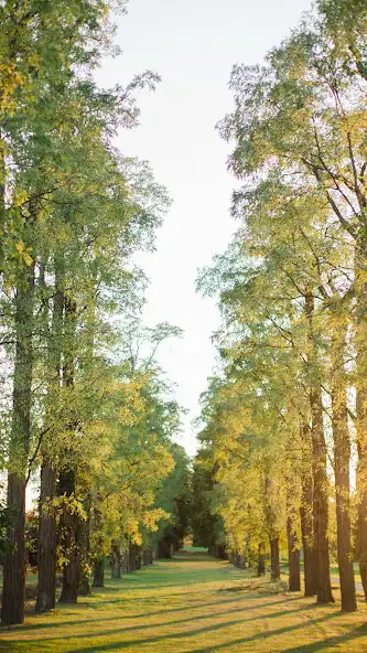 Play Village Club of Sands Point  and enjoy Village Club of Sands Point with UptoPlay